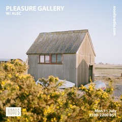 pleasure gallery w/ alec - noods radio - july 2022