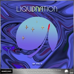 KOSMOS133DGTL V/A "LiquiDNAtion EP Vol.6"(Preview)