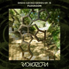 FLEXAGON | Disco Gecko Series Ep. 13 | 06/02/2022