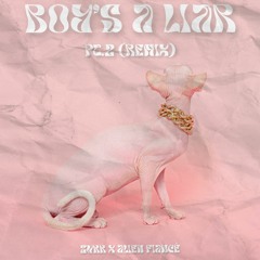 PinkPantheress & Ice Spice- Boys A Lair Pt2 (zvkk & ALIEN FIANCÉ Remix)