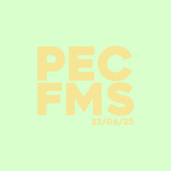 PECFMS SESSION 4