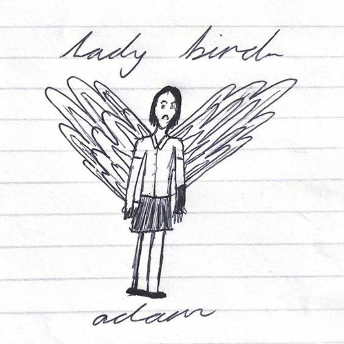 lady bird