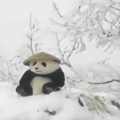 mam zajebany telefon oddzwonie pozniej