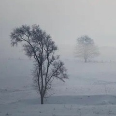 Feelin' cold wind(prod st4ndard)