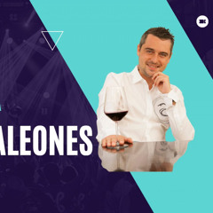VINO PARA CAMALEONES Cap 20 Chantaje al Pinot Noir