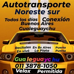 AUTOTRANSPORTE NORESTE SUR