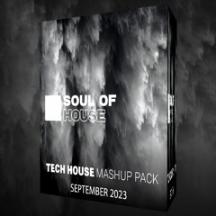 TECH HOUSE MASHUP PACK | SEPTEMBER 2023 [SoulOfHouse Selection]