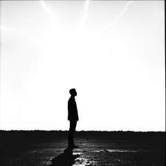 Why Should I Stay? (Diary of the Dying)