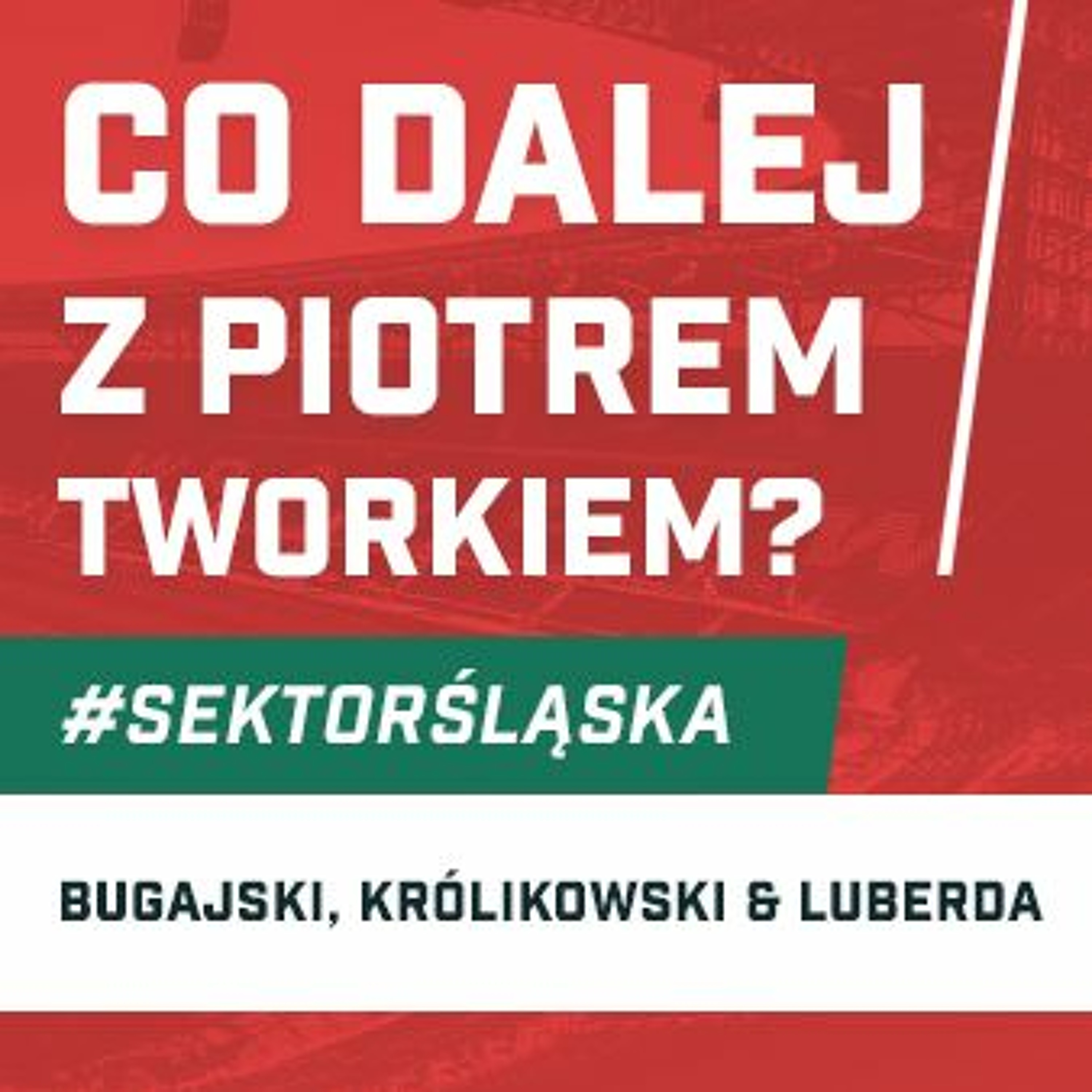 Śląsknet