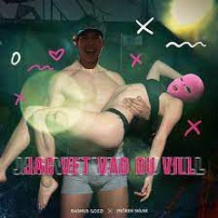 JAG VET VAD DU VILL(Speed Up)