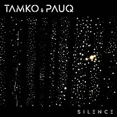 Tamko & Pauq - Silence