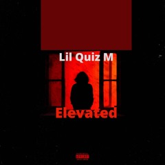 Elevated (feat. Quiz M)