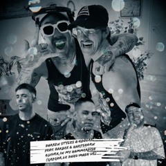 Darren Styles & Rooler Feat. Zarbex & Hartshorn - Quiver In My Hammerfish (Gregor le Dahl Mash Up)