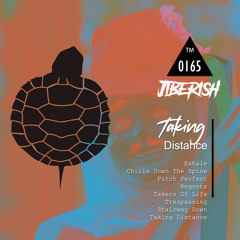 Taking Distance (Original Mix)