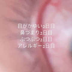 叫べ oh shit