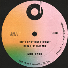 Billy Eilish "Bury a Friend" (Bury a Break Remix)