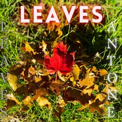 Leaves - Antone