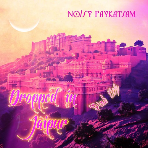 Dropped in Jaipur | Noisy P.