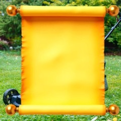 Vicarious Lawn Charter