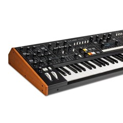 Stringer Moog Muse