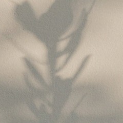 hide