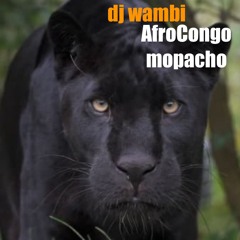 AfroCongo Mopacho By Dj Wambi