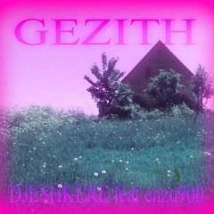gezith w//enzu900
