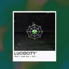 LUCIDCity*w/Brownie (Raw)