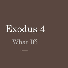 Exodus 4 "What If"