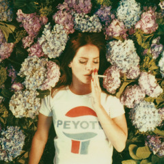 LDR - Florida Kilos (lofi remix)