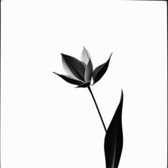 Je tinvoque (Psaume 130)