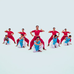 Pink Soilders - Sidd Kel Carnatic Fusion Remix