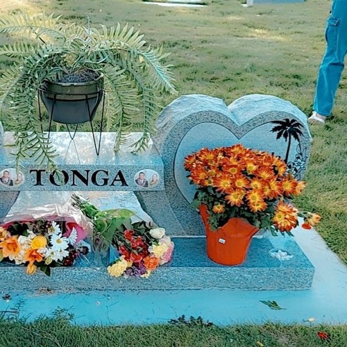 Stream Koloa Folofola Tonga (R.I.P) By Toloa Filimoehala Jr by Janey