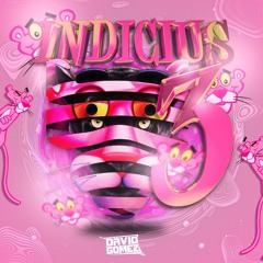 INDICIUS 3