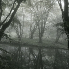 more often w k4dn ( xtasane x lithe)