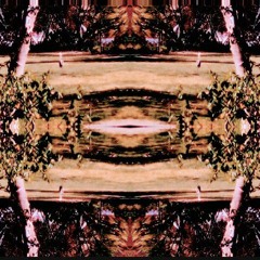 Misery Love's Parking Lot's (pt 1)