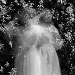 Ghosts