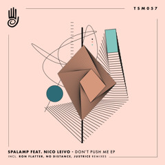 PREMIERE: Spalamp feat. Nico Leivo - Don't push Me (Original) [Truesounds Music]