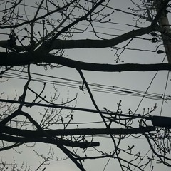 letmegiveyoubetter (DEAD RISE beat)