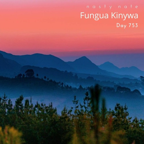 n a s t y  n a t e - Fungua Kinywa. Day 753 - AMAPIANO + AFRO HOUSE