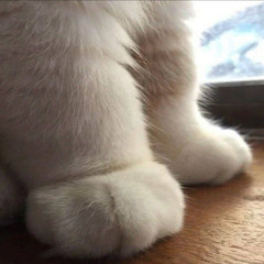 11-26-25fallenangelz-cursedsoulssflip ✞