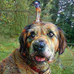 Animath demo (Wulgar x Gibson x Brz)