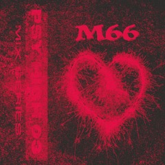 PSY HIGH 03 ⟡ M66