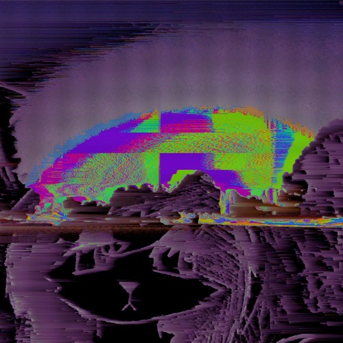 echolocation