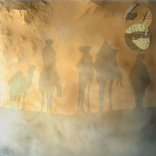 Into the Sandstorm - in collaboration with D Zeitlin