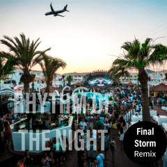 Rhythm Of The Night Remix