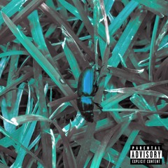 Scream! (Prod.Anthem)