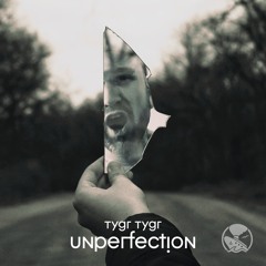 TYGR TYGR - Unperfection (Original Mix)