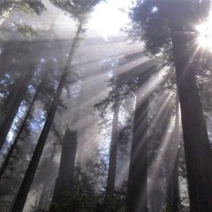 im outsideee