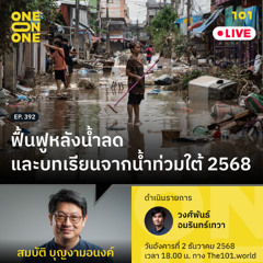 ฟื้นฟูหลังน้ำลด และบทเรียนจากน้ำท่วมใต้ 2568 | สมบัติ บุญงามอนงค์ | 101 One-on-One EP.392
